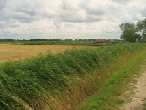 e07-img_4477