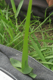 e15-img_4470