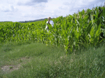 e18-p7190065