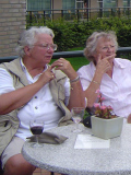 terras-4
