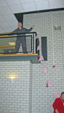 04-versierenimg_1951_edited