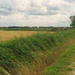 e07-img_4477