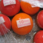 19